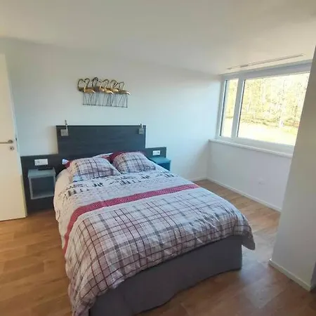 Au Pied Du Chateau Apartman Orschwiller