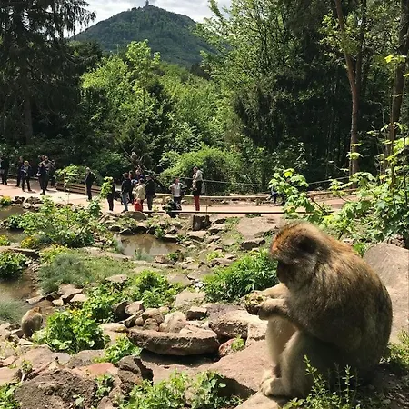 Apartament Au Pied Du Chateau *